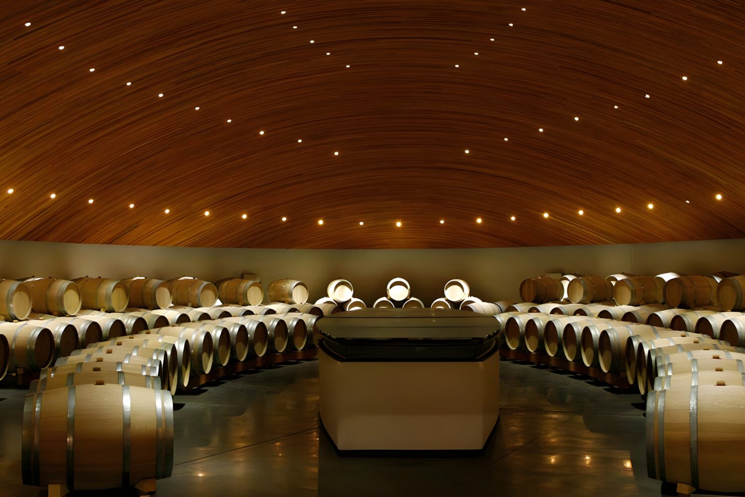 clos-apalta-and-vik 酒庄及午餐搭配