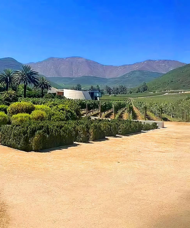 El Valle del Maipo, específicamente el Valle de Millahue y San Fernando, es una región vitivinícola clave en Chile, hogar de viñedos de renombre como Viña Vik y Maturana. Estas bodegas han ganado reconocimiento mundial por su innovadora elaboración de vinos y sus vinos de primera calidad. El reconocimiento internacional del valle ha impulsado significativamente el turismo, atrayendo a entusiastas del vino de todo el mundo. Los visitantes también disfrutan de la rica gastronomía de la región, donde los sabores locales se combinan de manera experta con los excepcionales vinos del valle, creando una experiencia culinaria inolvidable.