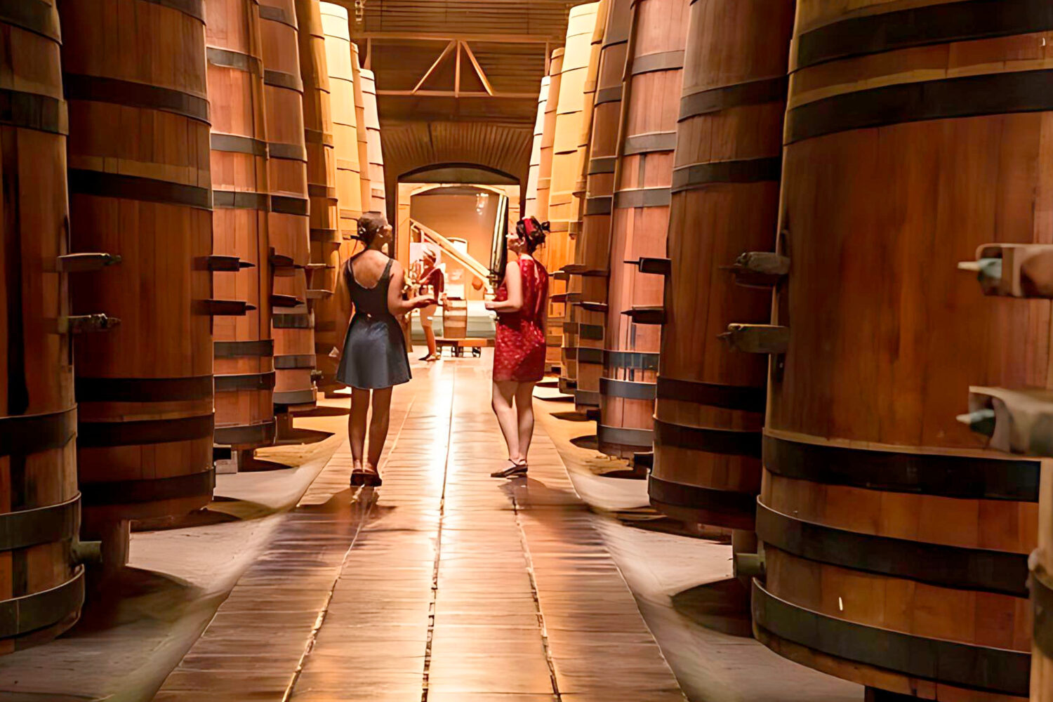 Découvrez le charme de la vallée de Maipo, réputée pour ses vignobles de renommée mondiale et ses vins d'exception. Cette région emblématique, connue pour ses vins rouges corsés comme le Cabernet Sauvignon, offre un riche mélange de tradition et d'innovation dans la vinification. Accompagnez votre dégustation de vins de repas gastronomiques mettant en vedette les produits locaux et une vue imprenable sur les Andes. La vallée de Maipo est une destination incontournable pour les amateurs de vin et les gourmands à la recherche d'une expérience unique et inoubliable.