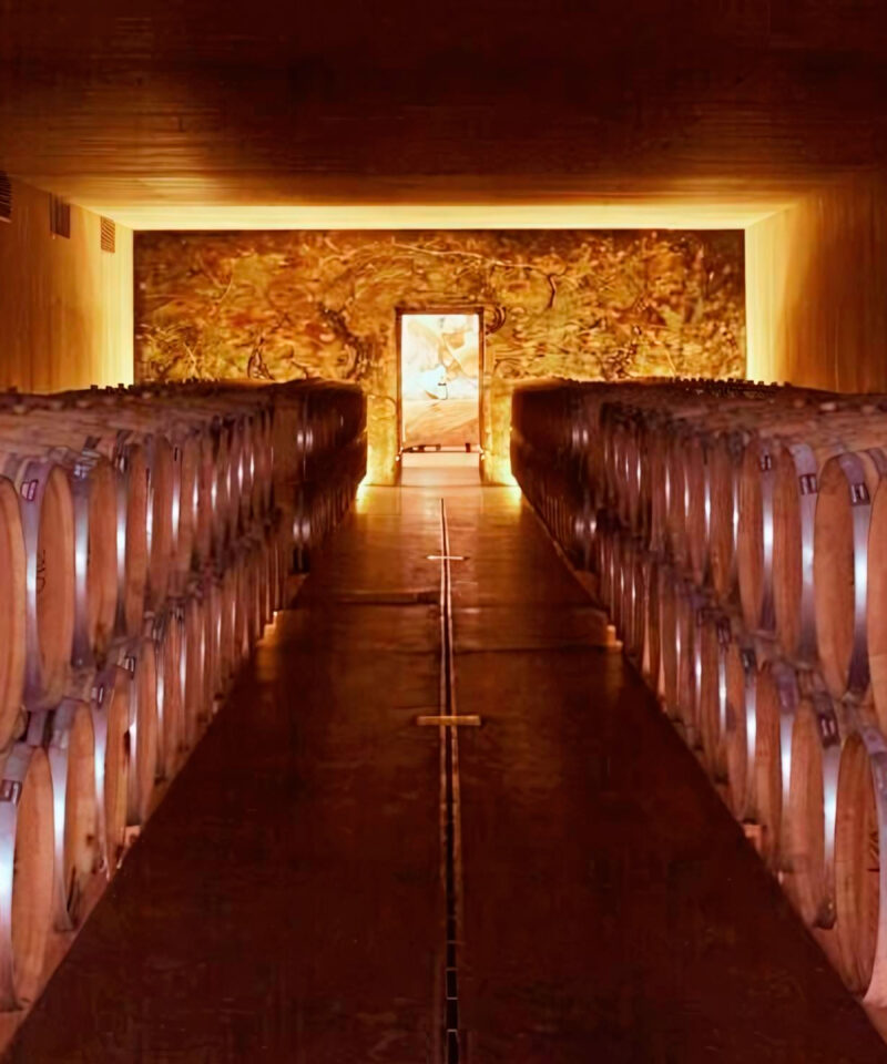 El Valle del Maipo, específicamente el Valle de Millahue y San Fernando, es una región vitivinícola clave en Chile, hogar de viñedos de renombre como Viña Vik y Maturana. Estas bodegas han ganado reconocimiento mundial por su innovadora elaboración de vinos y sus vinos de primera calidad. El reconocimiento internacional del valle ha impulsado significativamente el turismo, atrayendo a entusiastas del vino de todo el mundo. Los visitantes también disfrutan de la rica gastronomía de la región, donde los sabores locales se combinan de manera experta con los excepcionales vinos del valle, creando una experiencia culinaria inolvidable.