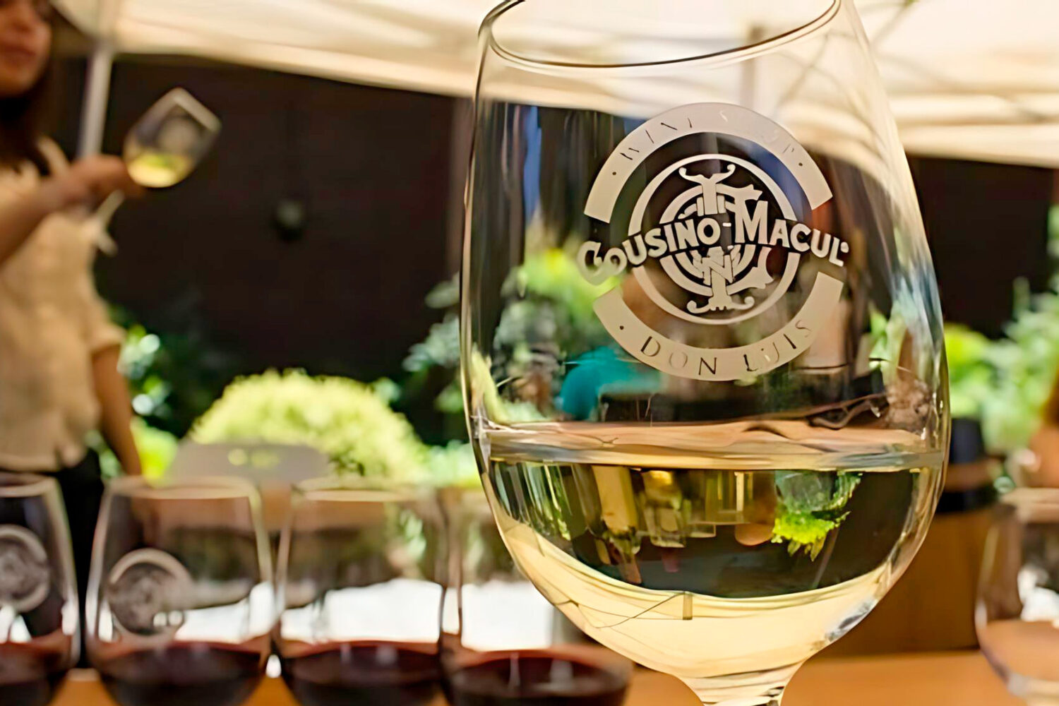 La vallée de Maipo est une destination de choix pour les amateurs de vin, réputée pour ses vignobles prestigieux et ses vins exceptionnels. Le climat chaud et le sol riche de cette région produisent le célèbre Cabernet Sauvignon et d'autres cépages. Explorez les vignobles locaux et profitez d'expériences gastronomiques mettant en valeur les ingrédients frais et locaux. Avec des paysages époustouflants et un riche patrimoine culturel, la vallée de Maipo offre un voyage œnologique et gastronomique immersif qui promet de captiver chaque visiteur.