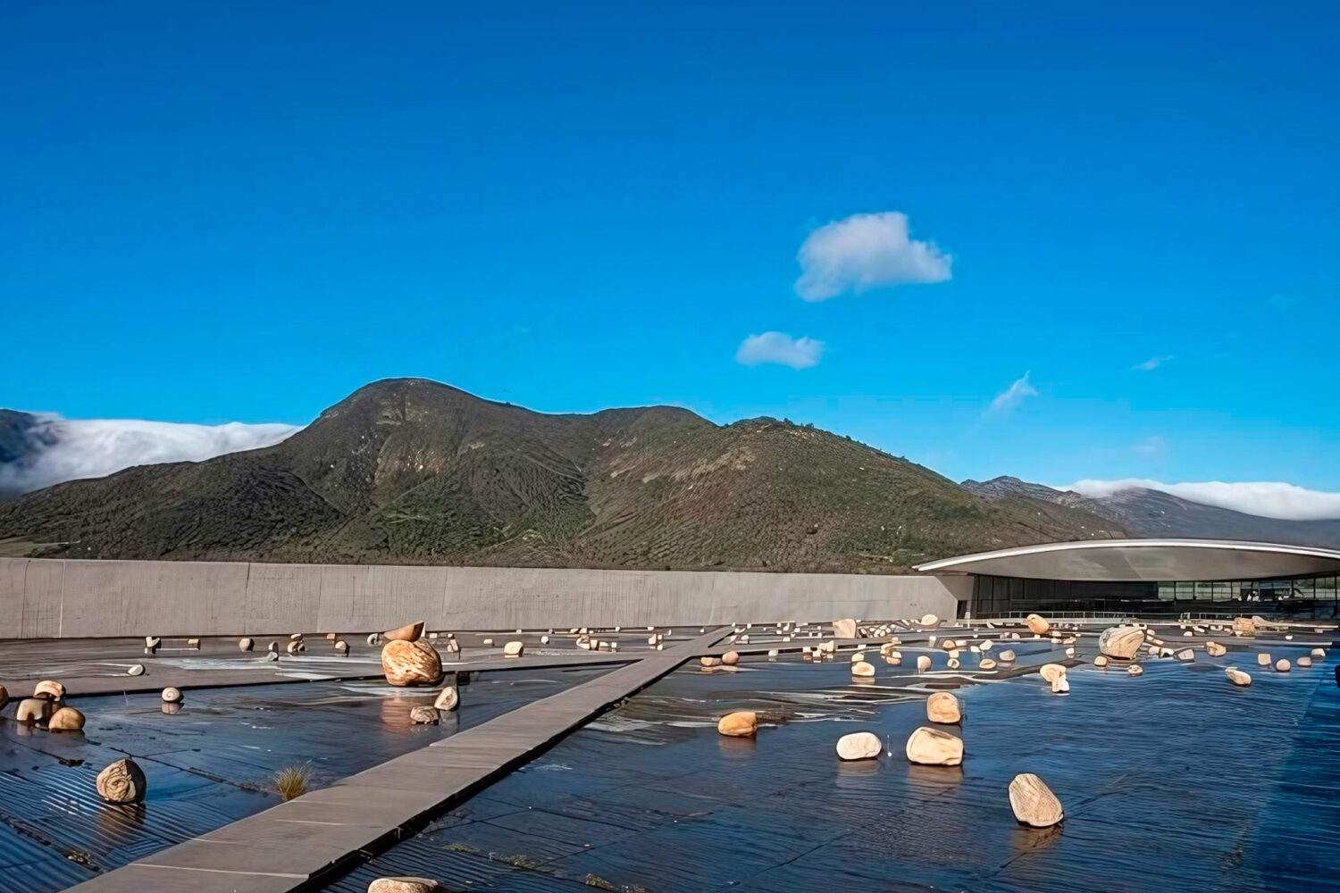 科尔查瓜谷以其肥沃的土地和优质的葡萄酒而闻名，是智利必游之地。维纳维克 (Viña Vik) 和维纳蒙特斯 (Viña Montes) 是山谷中最负盛名的两家葡萄园，以其优质的葡萄酒和独特的游客体验赢得了全世界的认可。他们的影响力极大地促进了该地区的旅游业，吸引了来自世界各地的葡萄酒爱好者。这两个葡萄园还提供顶级的用餐体验，将当地风味与该地区屡获殊荣的葡萄酒融为一体。