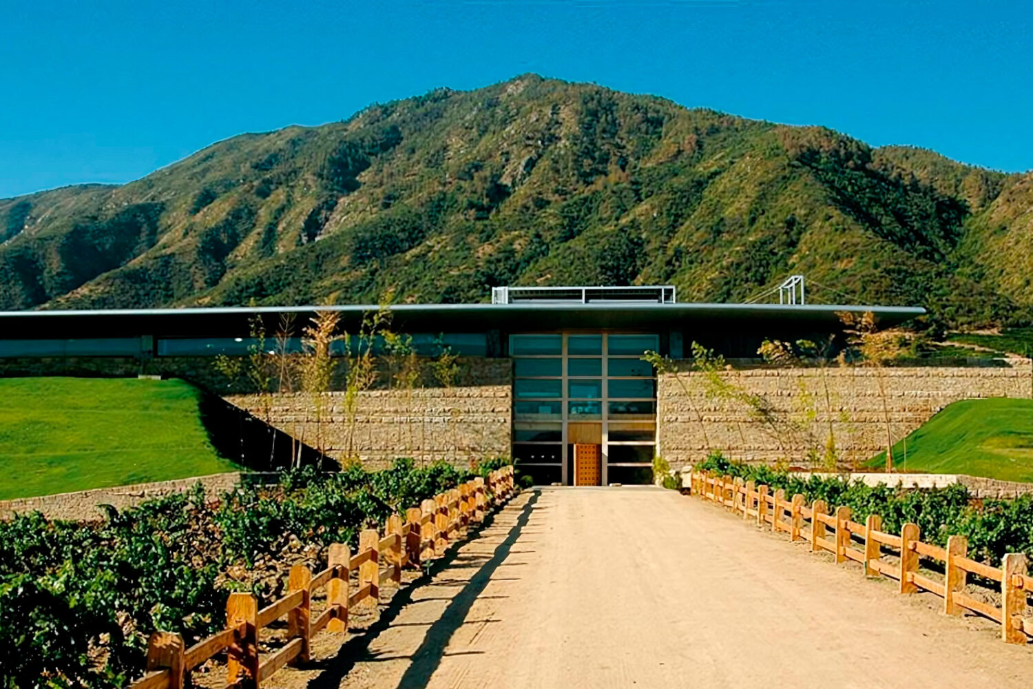 智利科尔查瓜谷是葡萄酒爱好者的首选目的地，以其世界一流的葡萄园而闻名，例如 Viña Vik 和 Viña Montes。这些庄园因其创新的酿酒工艺和奢华的体验而获得了国际赞誉。他们的成功极大地促进了智利旅游业的发展，吸引了渴望探索山谷丰富葡萄酒文化的游客。这两个葡萄园还提供非凡的用餐体验，美食与山谷最好的葡萄酒相遇，让每次访问都真正令人难忘。