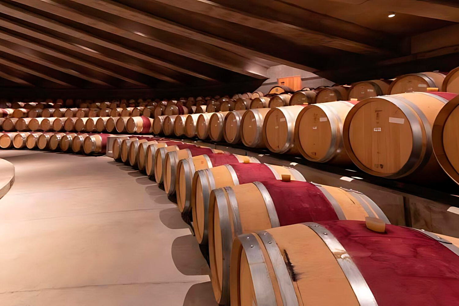 智利科尔查瓜谷是葡萄酒爱好者的首选，以其茂盛的葡萄园和卓越的葡萄酒而闻名。Viña Vik 和 Viña Montes 是该地区的杰出酒庄，均因其对葡萄酒酿造的全球影响而闻名。他们享誉世界的葡萄酒和卓越的款待使它们成为推动山谷旅游业发展的关键因素。游客还可以享受精致的美食体验，美食与该地区最好的葡萄酒完美搭配。