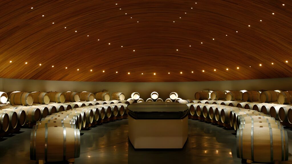 clos-apalta-and-vik 酒庄及午餐搭配