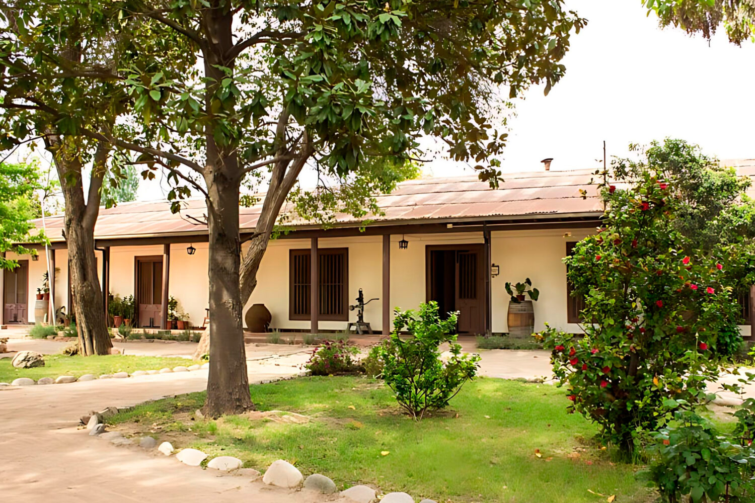 智利阿空加瓜谷是葡萄酒界的一颗新星，以其独特的葡萄园和卓越的葡萄酒产量而闻名。该地区独特的气候和地形有助于酿造出获得全球认可的葡萄酒。这一国际声誉使该山谷成为游客的热门目的地，游客渴望探索其美丽的风景和丰富的葡萄酒文化。山谷的美食以新鲜的当地食材为特色，为其屡获殊荣的葡萄酒提供了完美的补充。