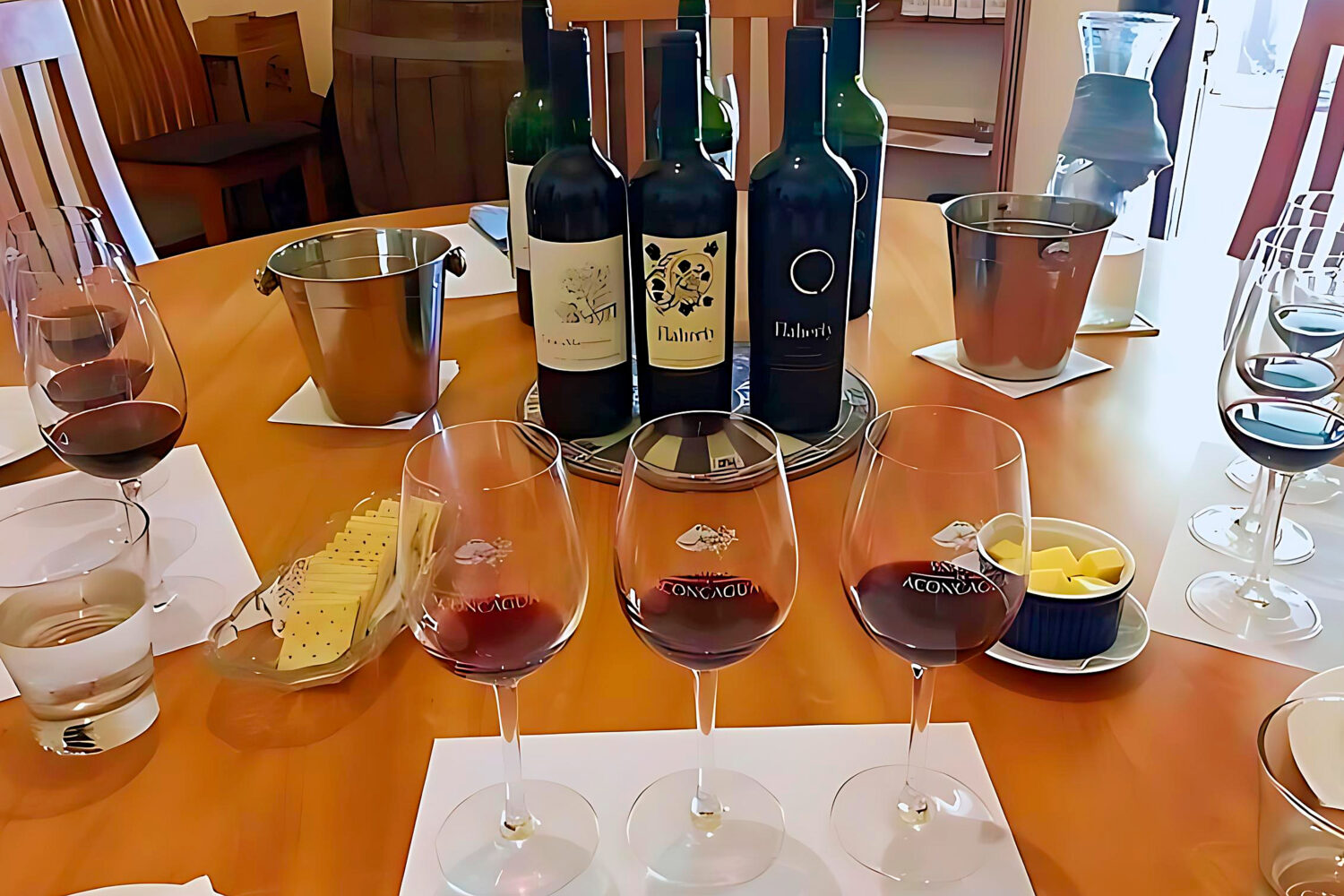 迈波谷，特别是米拉韦谷和圣费尔南多，是智利重要的葡萄酒产区，拥有 Viña Vik 和 Maturana 等著名葡萄园。这些酒庄以其创新的酿酒工艺和优质葡萄酒赢得了全球认可。迈波谷的国际声誉极大地促进了旅游业的发展，吸引了世界各地的葡萄酒爱好者。游客还可以享受该地区丰富的美食，当地风味与山谷的优质葡萄酒完美搭配，创造出令人难忘的美食体验。