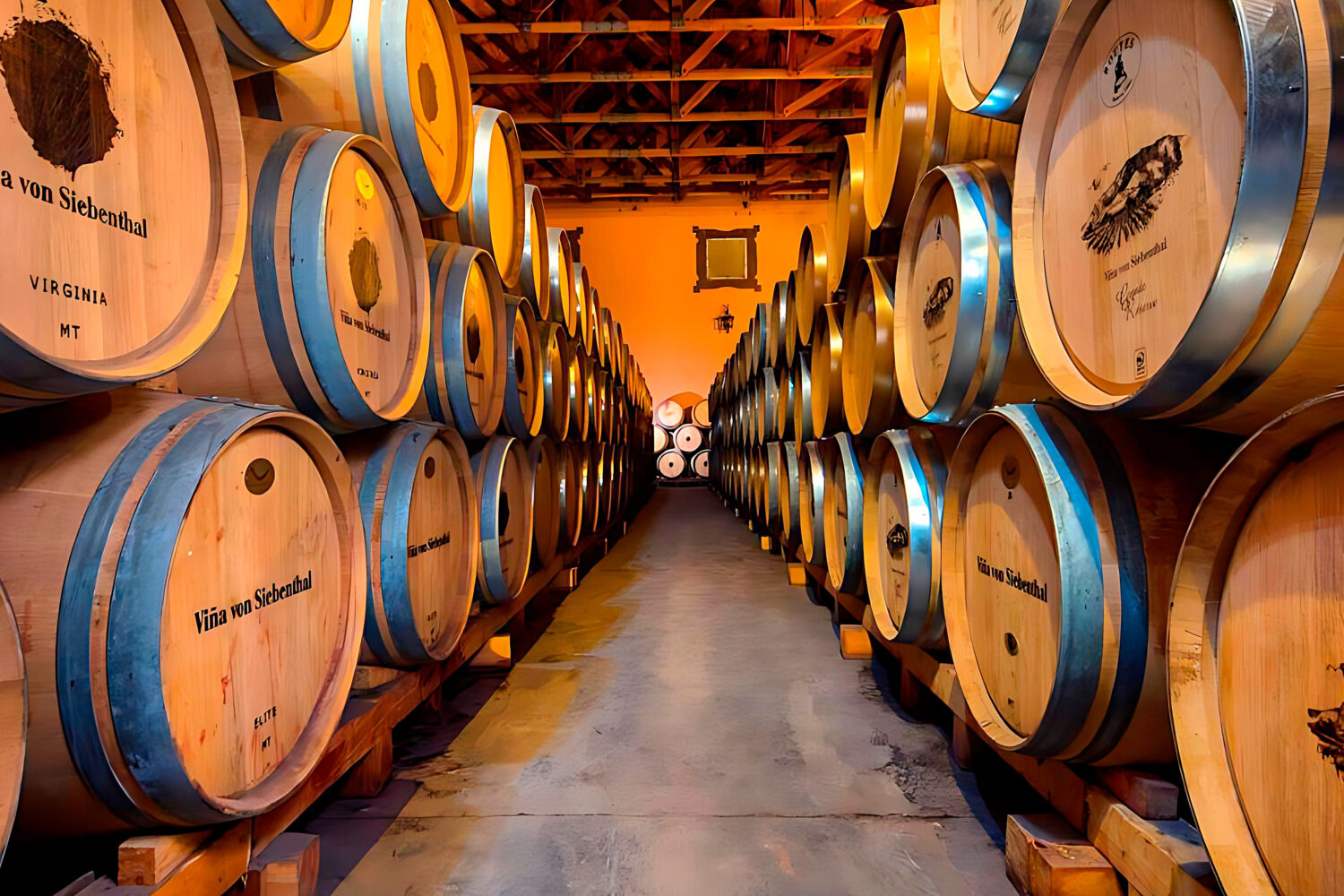 智利阿空加瓜谷是顶级的葡萄酒产地，以其独特的葡萄园和全球知名的葡萄酒而闻名。山谷独特的气候和土壤造就了智利一些最负盛名的葡萄酒，引起了国际关注。这种认可对旅游业产生了重大影响，游客蜂拥而至体验该地区令人惊叹的风景和丰富的葡萄酒传统。当地美食以新鲜的当地食材为特色，与山谷的优质葡萄酒相得益彰。