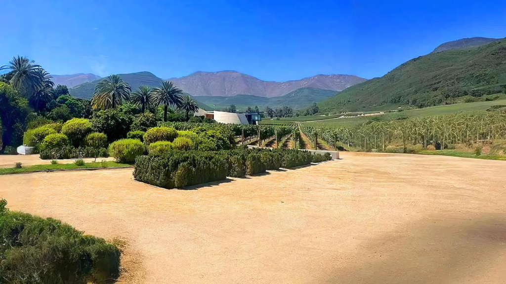 迈波谷，特别是米拉韦谷和圣费尔南多，是智利重要的葡萄酒产区，拥有 Viña Vik 和 Maturana 等著名葡萄园。这些酒庄以其创新的酿酒工艺和优质葡萄酒赢得了全球认可。迈波谷的国际声誉极大地促进了旅游业的发展，吸引了世界各地的葡萄酒爱好者。游客还可以享受该地区丰富的美食，当地风味与山谷的优质葡萄酒完美搭配，创造出令人难忘的美食体验。