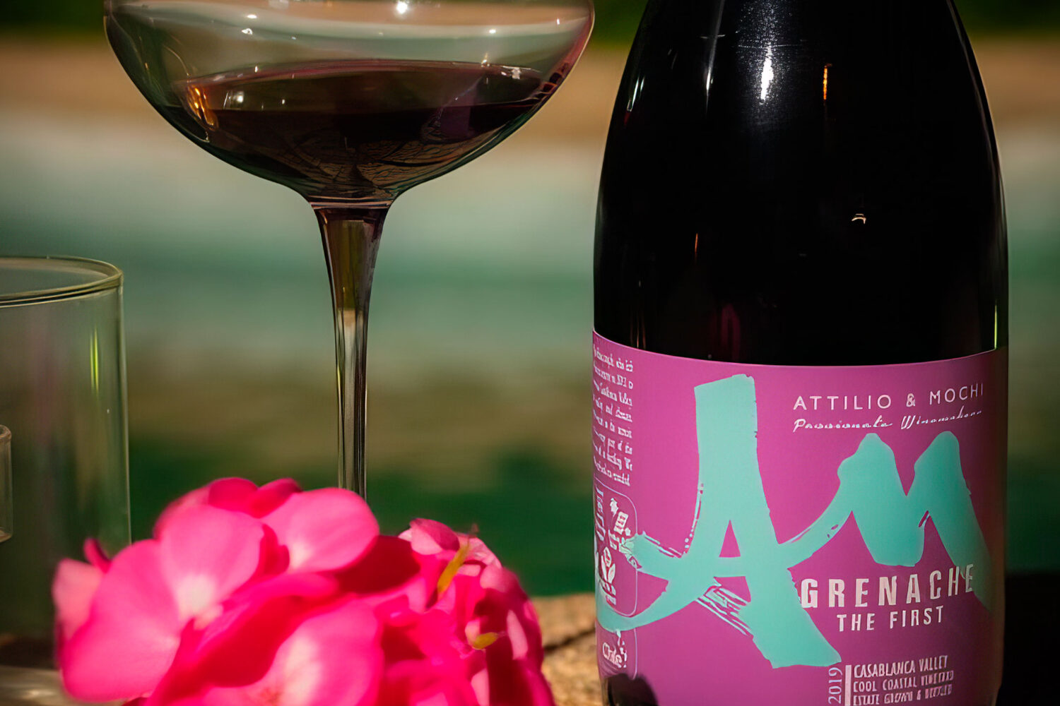 卡萨布兰卡山谷的私人酿酒师之旅