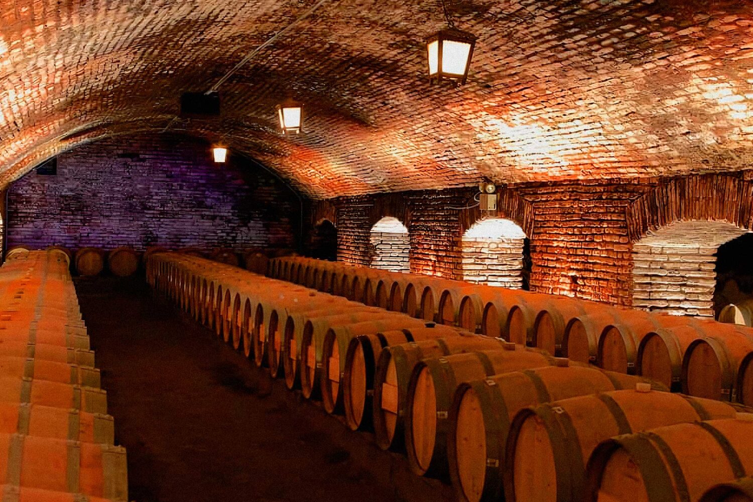 Located in the picturesque Maipo Valley, Viña Concha y Toro is a must-visit destination for wine enthusiasts worldwide. Renowned for its exceptional wines, including the famous Casillero del Diablo, this vineyard blends tradition with innovation. Enjoy a guided tour of their scenic vineyards, historic cellars, and learn about their sustainable winemaking practices. With breathtaking landscapes and a legacy that spans over a century, Viña Concha y Toro is not just a vineyard but a cultural experience. Discover why this Chilean winery is celebrated globally and make it a highlight of your visit to Santiago.